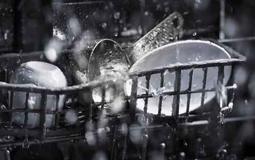 Close-up of dishes rinsing inside of a dishwasher